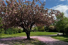 Charmante 2-Zimmer-Wohnung mit Balkon & Tiefgaragenstellplatz