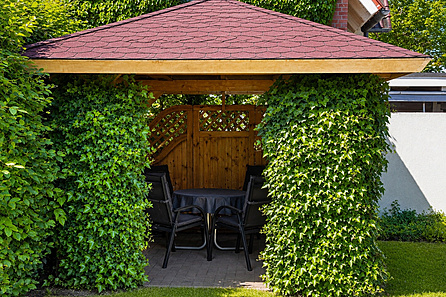 Pavillon