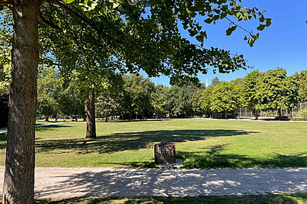 Südpark in direkter Nachbarschaft