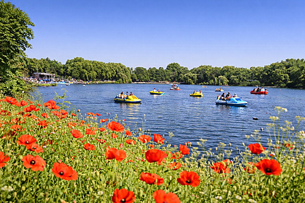 Diskrete Vermarktung Aasee