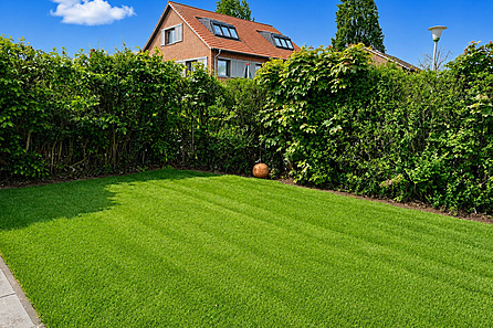 Garten DHH