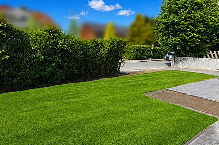Garten zur Straße Pixel