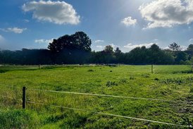 Ihr Zuhause im Grünen – und in 15 Minuten mitten in Münster