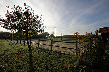 Blick zum Reitplatz