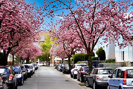 Kreuzviertel Umgebung1