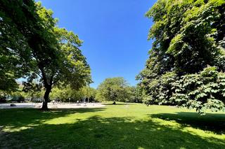 Mehrfamilienhaus in zentraler Lage von Münster
