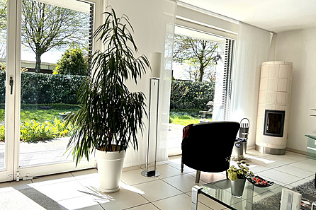 Blick in den Garten 2