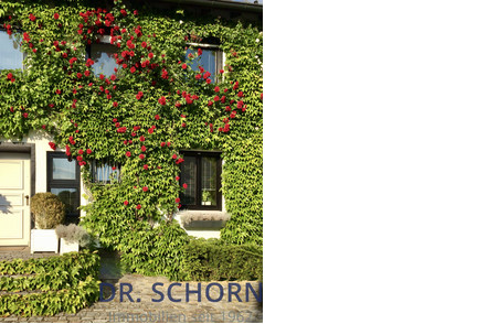 Repräsentatives Einfamilienhaus an der Sentruper Höhe
