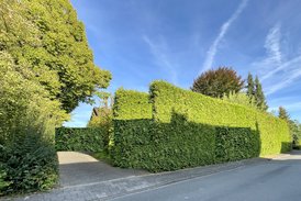Traumgrundstück 1.100 m² in Münster-Mecklenbeck