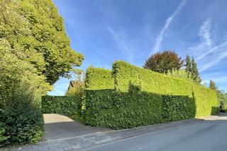 Traumgrundstück 1.100 m² in Münster-Mecklenbeck