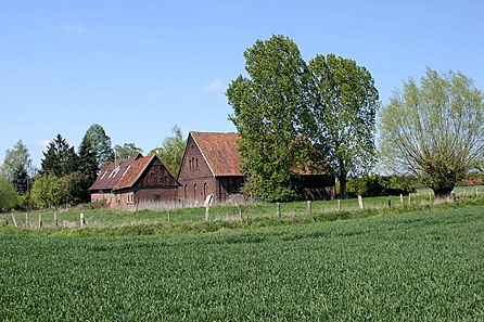 Die Scheune mit Nebengebäude