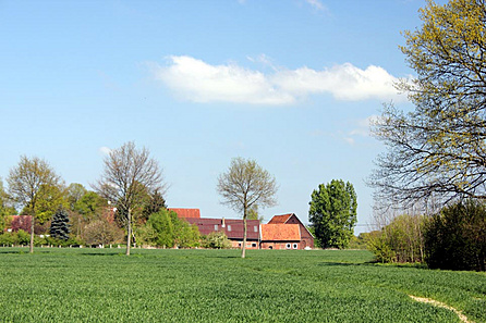 Die Hofstelle aus der Entfernung