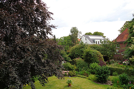 Blick aus dem Fenster des Hauses 2