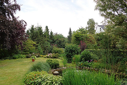 Blick in den Garten mit Teich