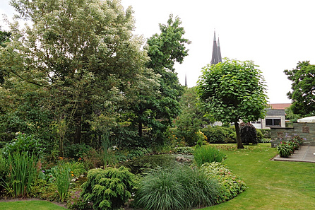 Weiterer Blick in den Garten