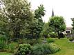 Weiterer Blick in den Garten