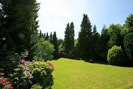 Blick in den Garten